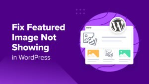 WordPress images not showing